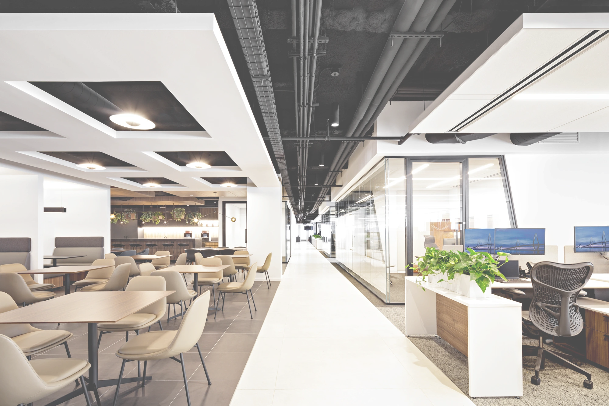 Space & Asset Management